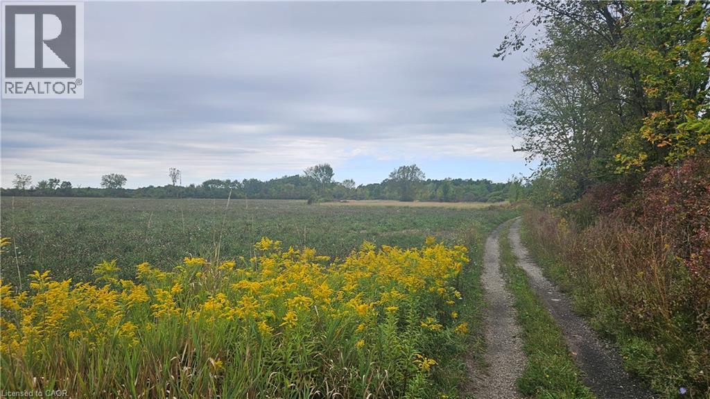 Pt S 1/2 Lt 7 Junction Road, Cayuga, Ontario  N0A 1C0 - Photo 6 - 40825707