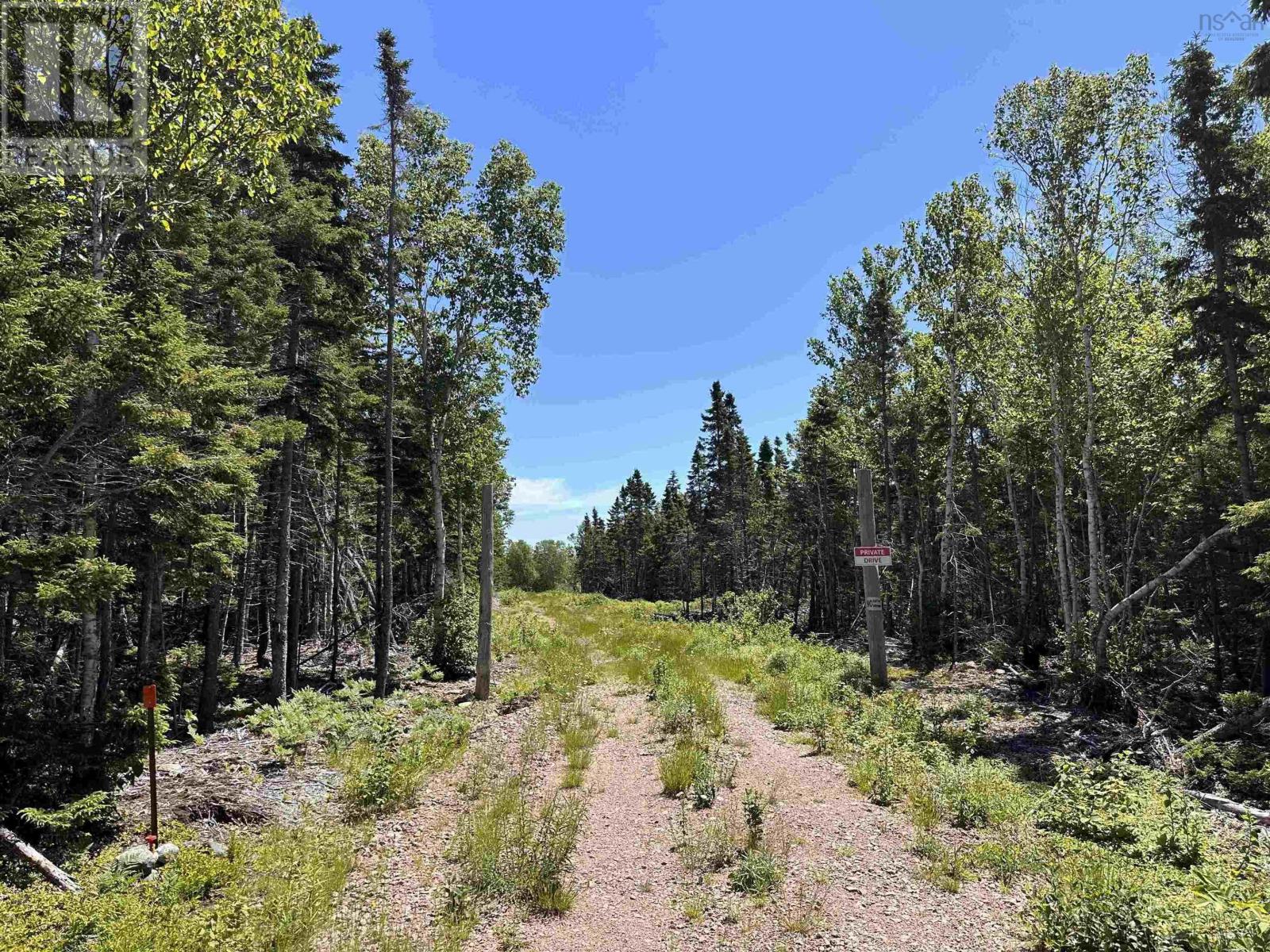 Lot 2 Cabot Trail, Birch Plain, Nova Scotia  B0C 1H0 - Photo 13 - 202602842