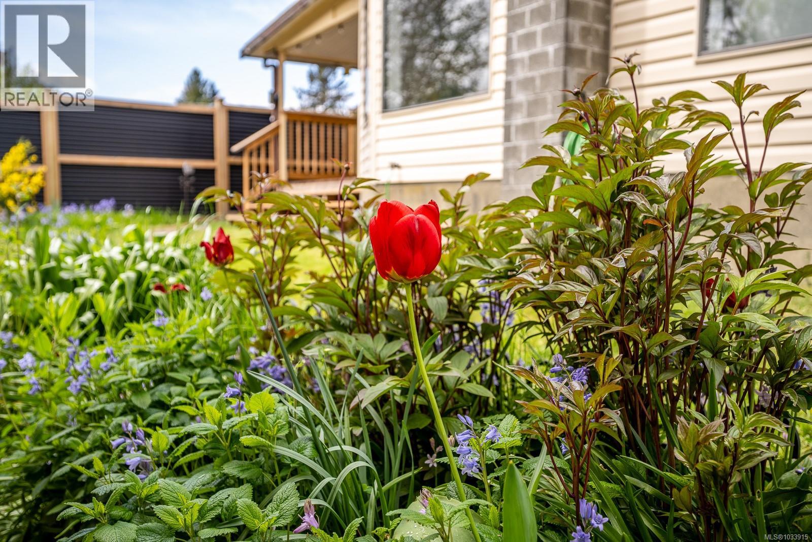 2301 6th St E, Courtenay, British Columbia  V9N 7T8 - Photo 39 - 1033915