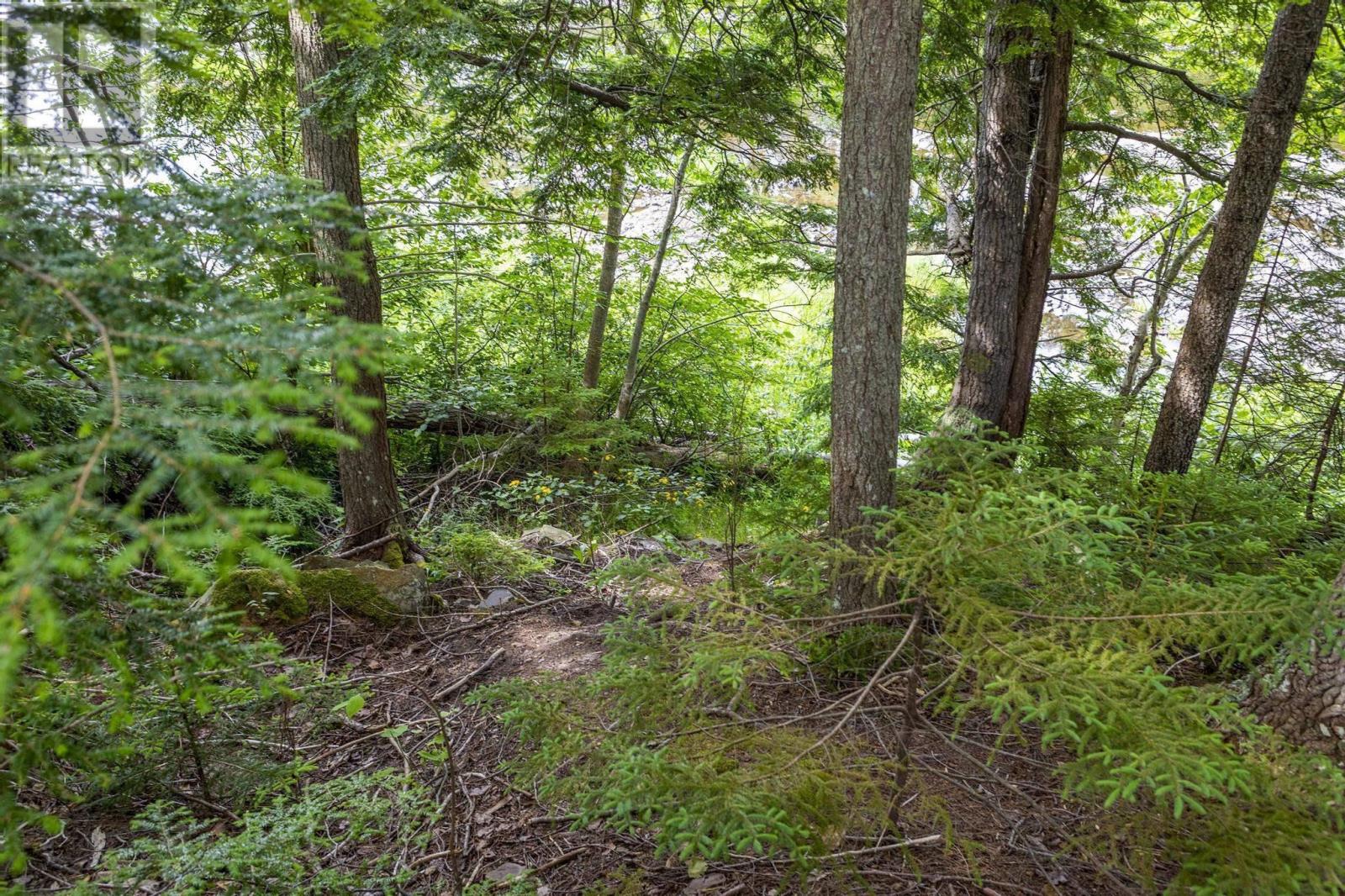 River Road, Plymouth, Nova Scotia  B2H 5C5 - Photo 2 - 202516690