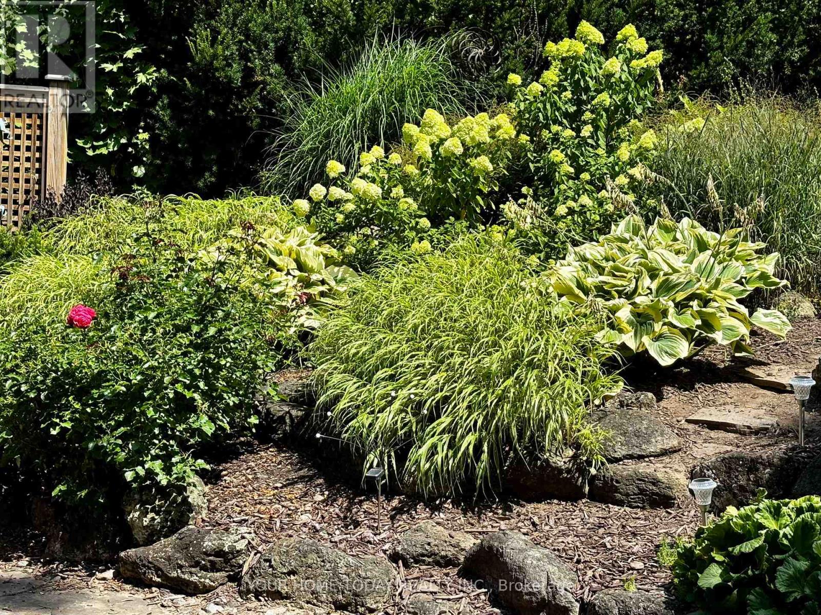 36 Queen Street, Halton Hills, Ontario  L7G 2E6 - Photo 33 - W13062040