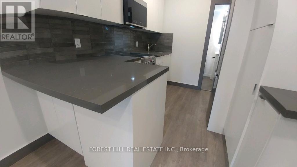 Upper S - 1213 Dundas Street W, Toronto, Ontario  M6J 1X3 - Photo 3 - C13062676