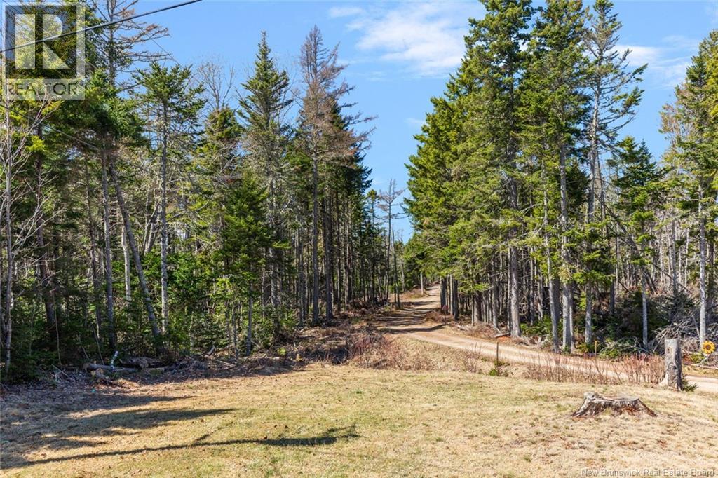 28 Irving Beach Lane, Baie Verte, New Brunswick  E4M 2Y5 - Photo 45 - NB137776