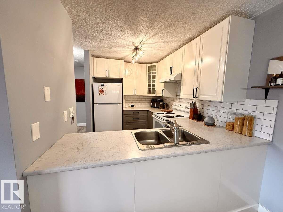 #205 60 Alpine Pl, St. Albert, Alberta  T8N 3Y2 - Photo 12 - E4484830