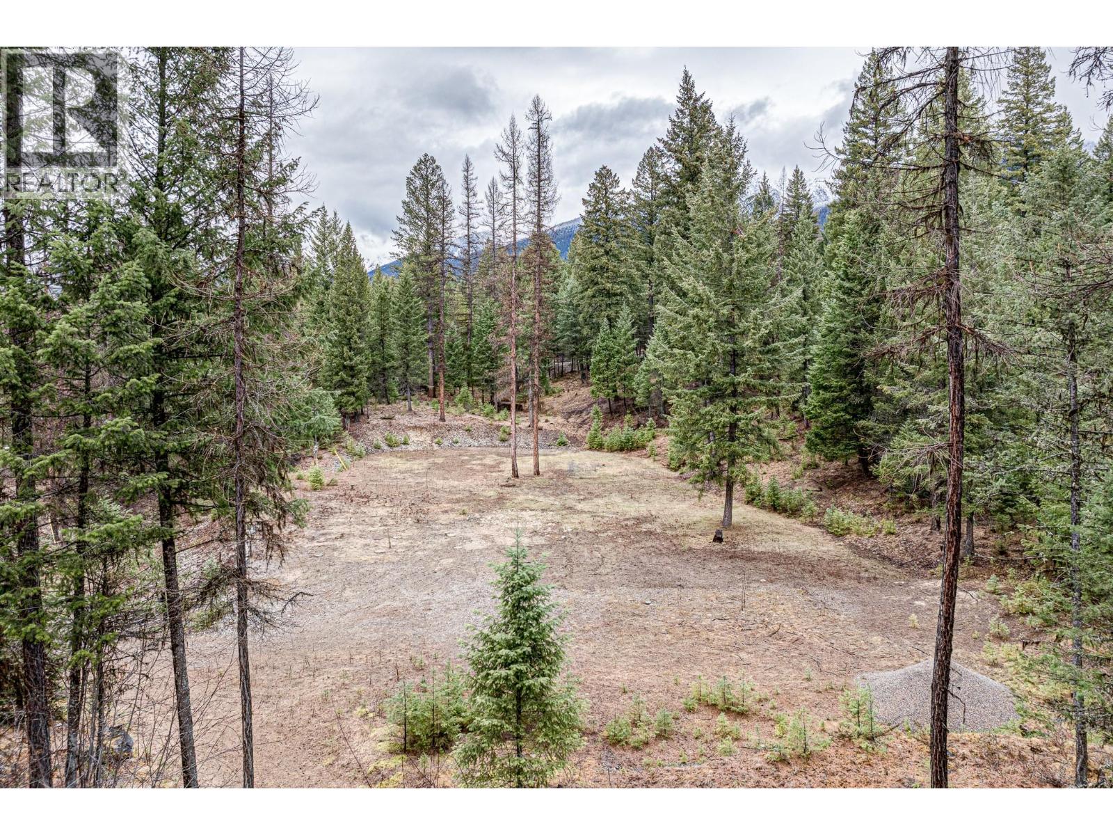 2655 Roy Road, Jaffray, British Columbia  V0B 1T0 - Photo 4 - 10381329