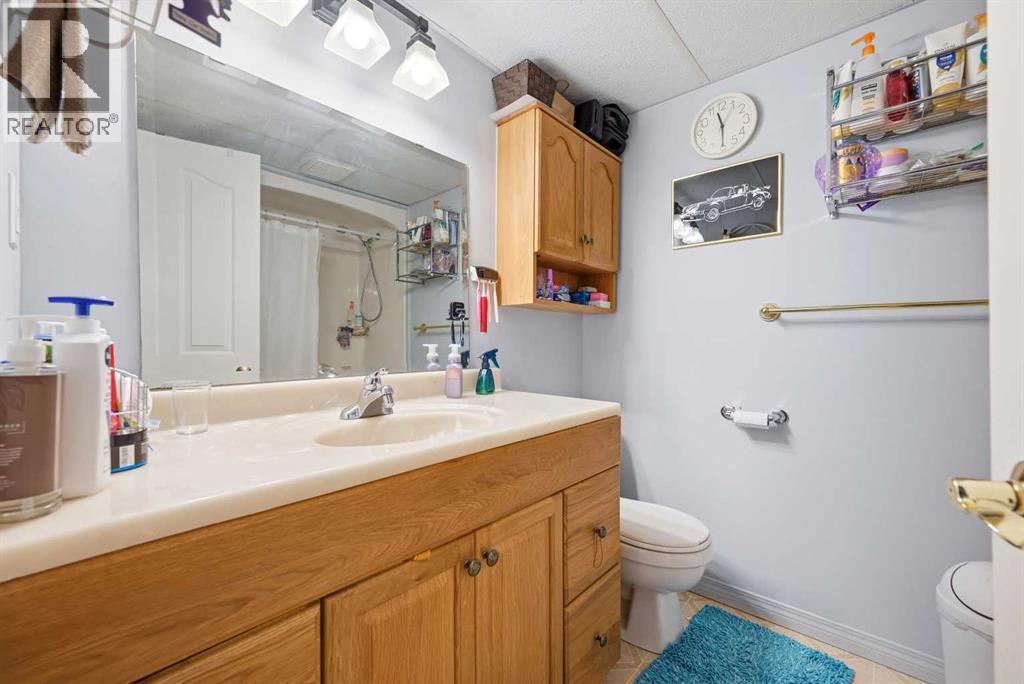 311 Saddlecreek Point NE, Calgary, Alberta  T3J 4R9 - Photo 29 - A2289806