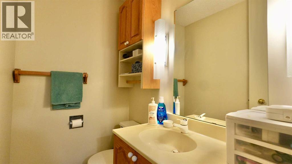11113 103 Street, Peace River, Alberta  T8S 1K5 - Photo 37 - A2306485