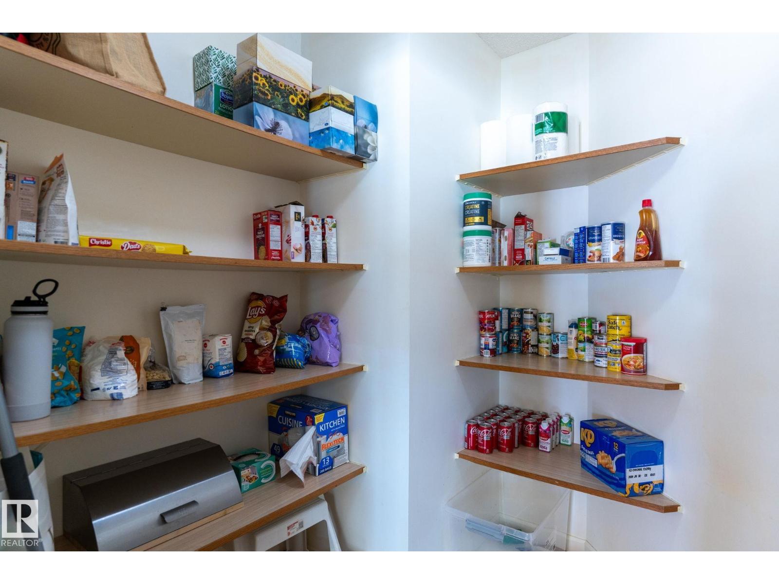 848 Wheeler Rd W Nw, Edmonton, Alberta  T6M 2E2 - Photo 21 - E4484846