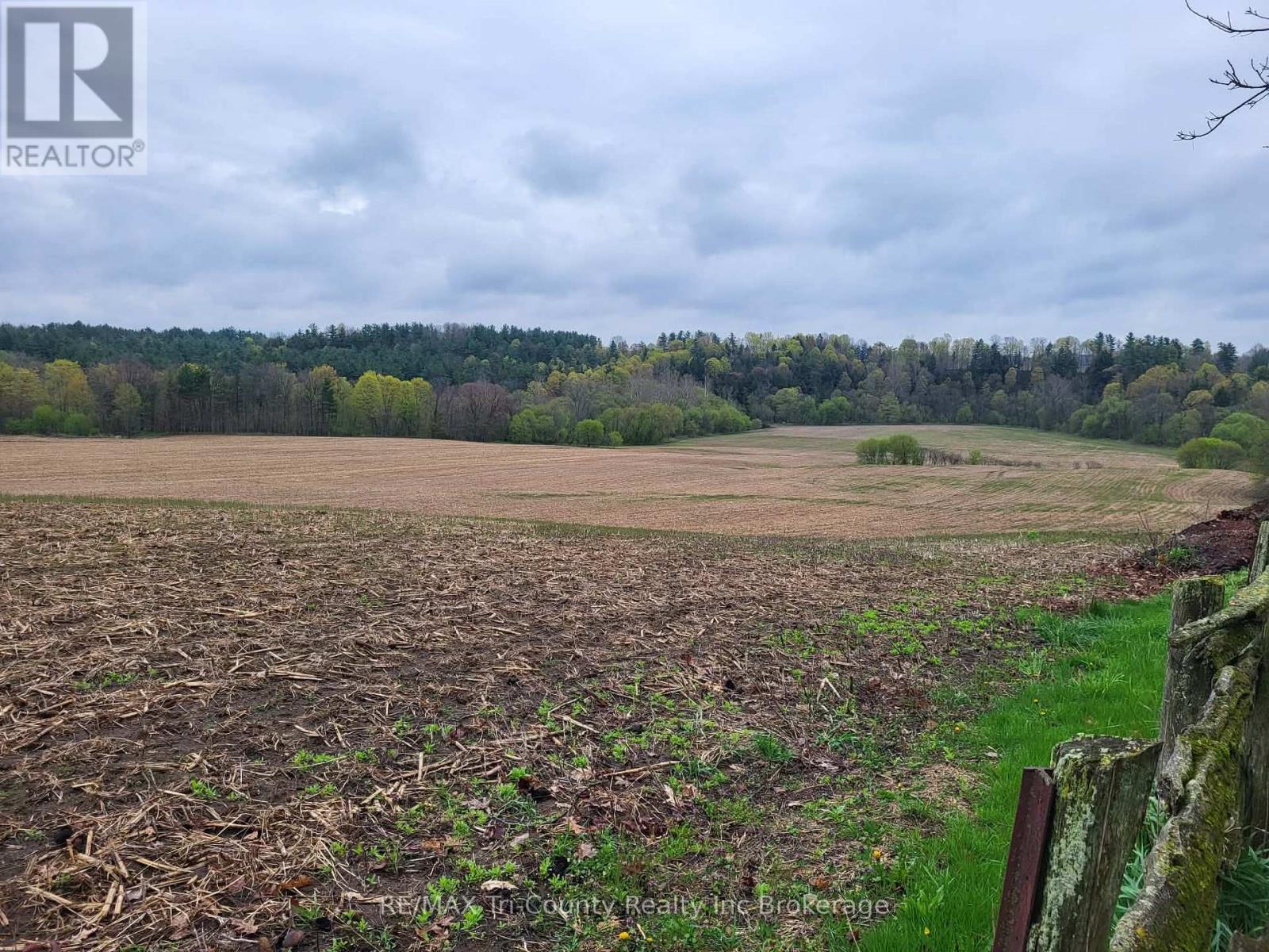 9088 Culloden Road, Bayham, Ontario  N0J 1H0 - Photo 4 - X13063316