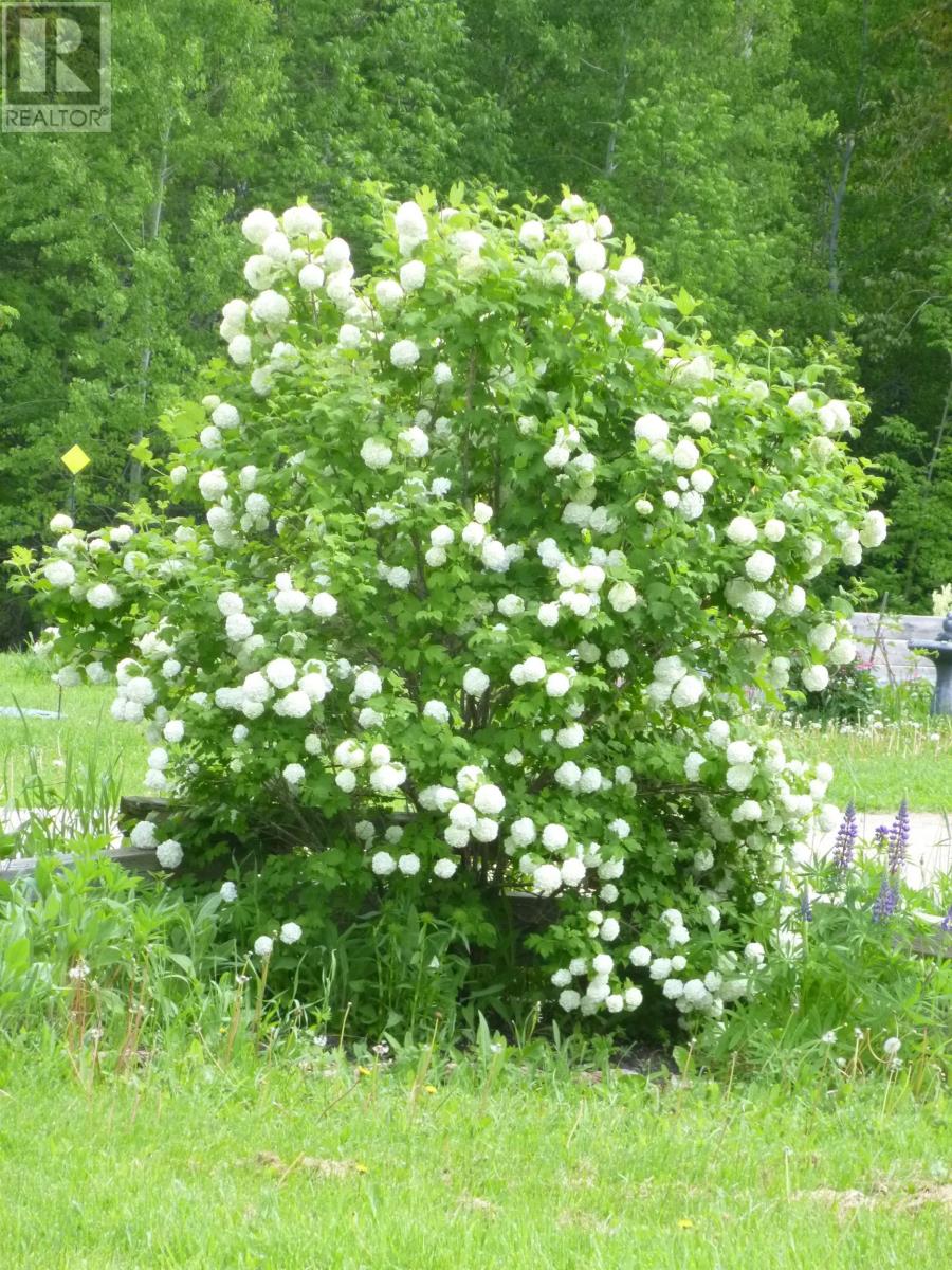 112 Hwy 621, Sleeman, Ontario  P0W 1M0 - Photo 17 - TB2600859