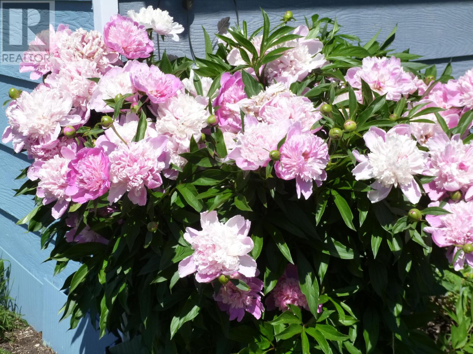 112 Hwy 621, Sleeman, Ontario  P0W 1M0 - Photo 21 - TB2600859