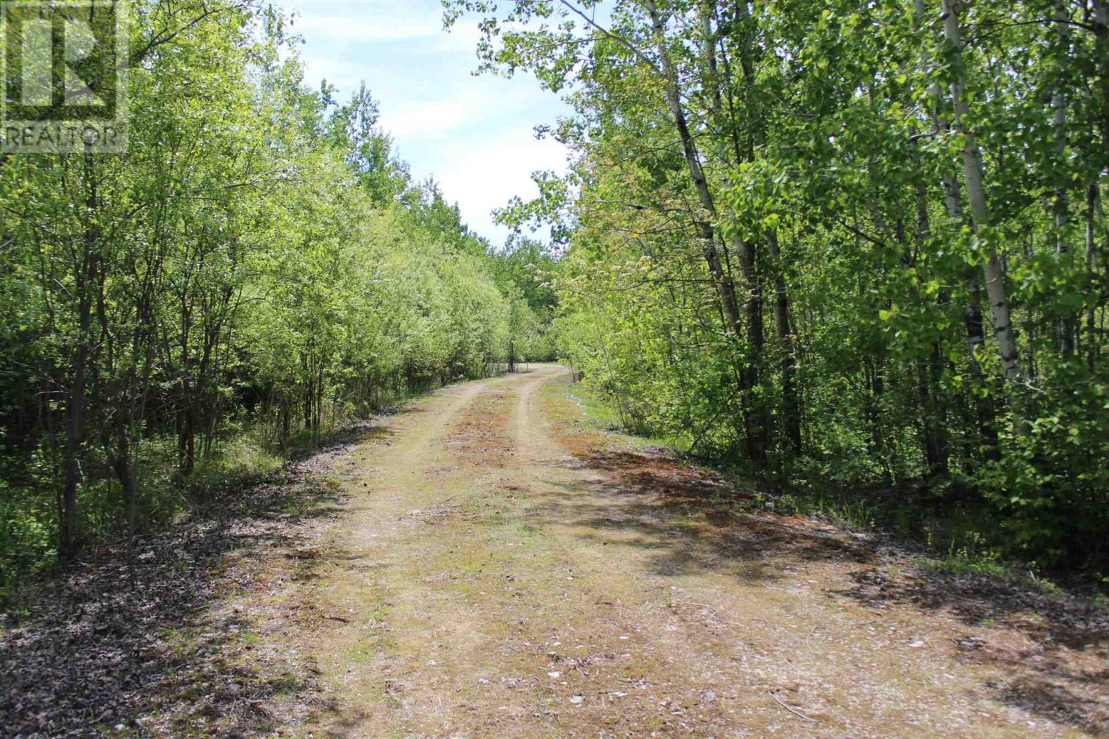 Lot 13 Stintzi Dr E, Morson, Ontario  P0W 1J0 - Photo 23 - TB2600860
