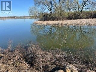 231 County 2 Road, Edwardsburgh/cardinal, Ontario  K0E 1E0 - Photo 43 - X12799606