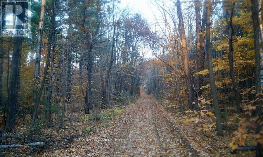 Pl 20 Concession 18 W, Tiny, Ontario  L9M 0K2 - Photo 3 - S13063306