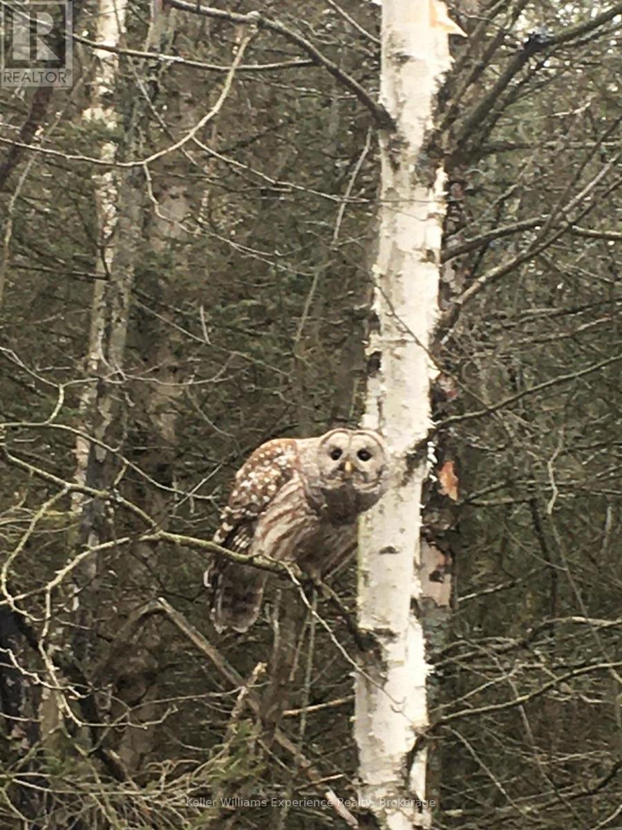 Pl 20 Concession 18 W, Tiny, Ontario  L9M 0K2 - Photo 7 - S13063306