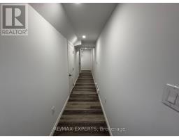 LOWER #1 - 81 MCKERNAN AVENUE, Brantford, Ontario