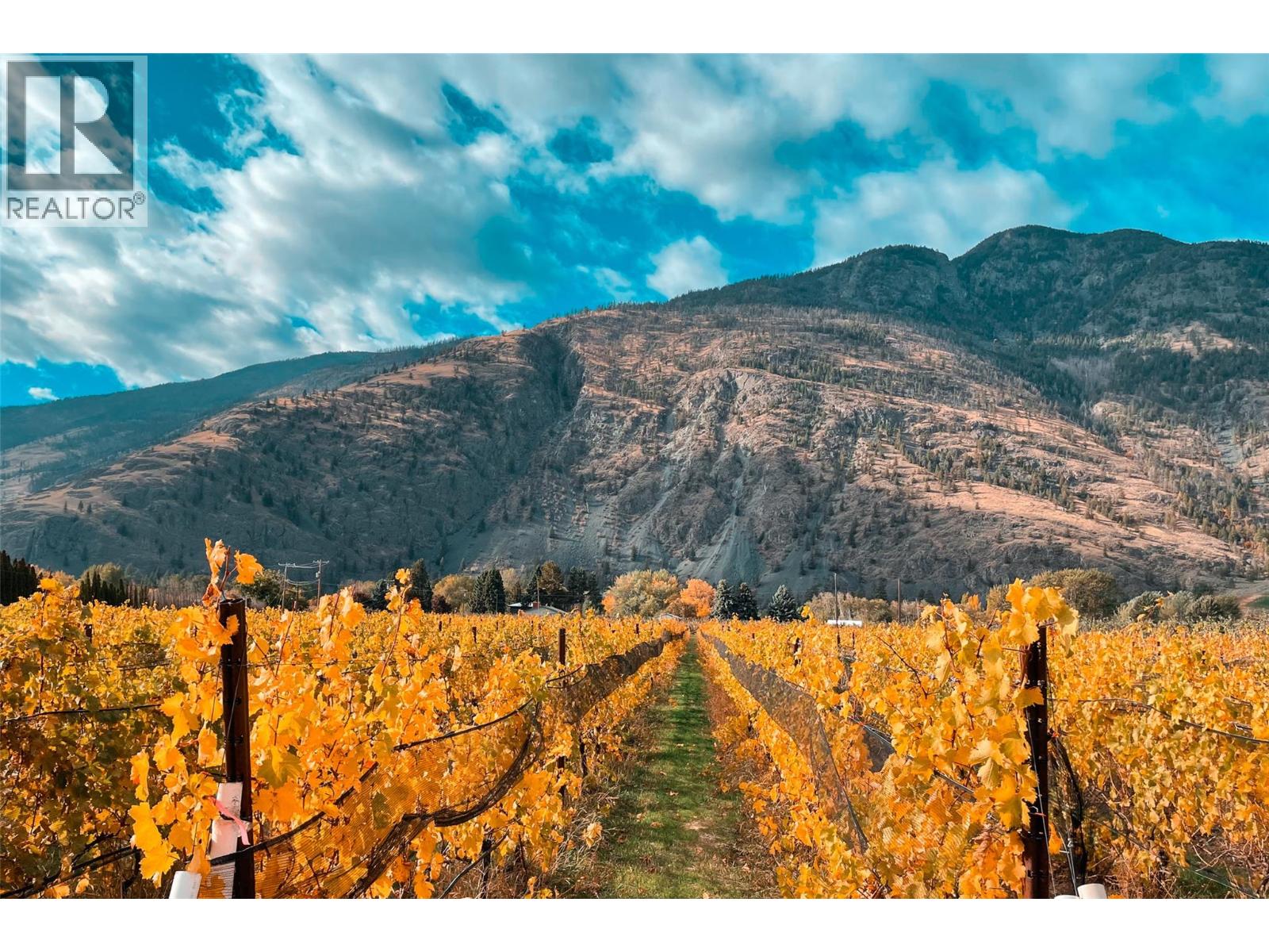 2155 Newton Road, Cawston, British Columbia  V0X 1C1 - Photo 4 - 10385492