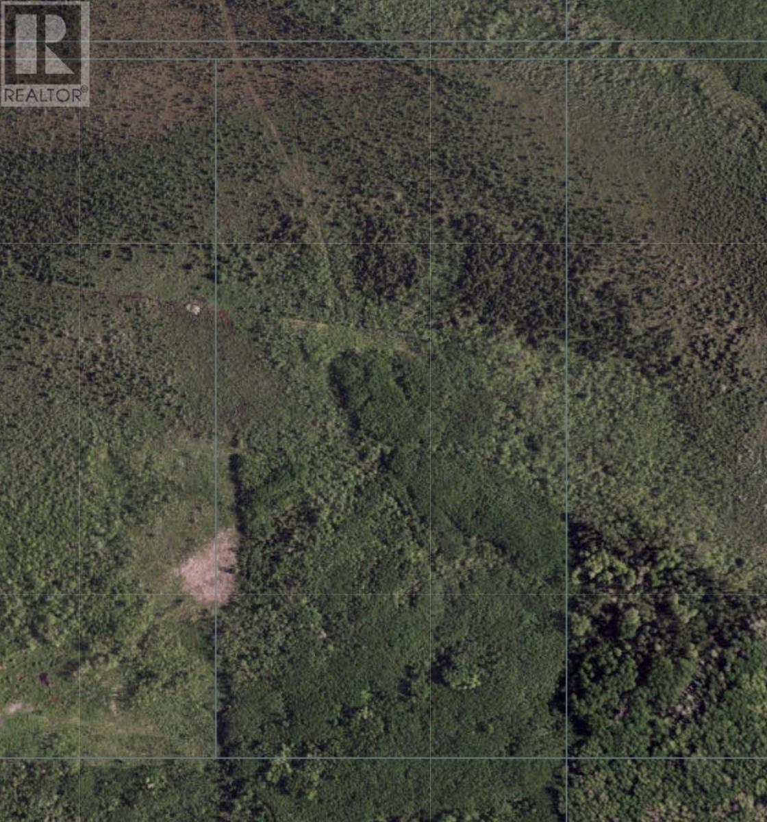 Pcl 14-11 Hwy 11, Stratton, Ontario  P0W 1N0 - Photo 4 - TB2600823