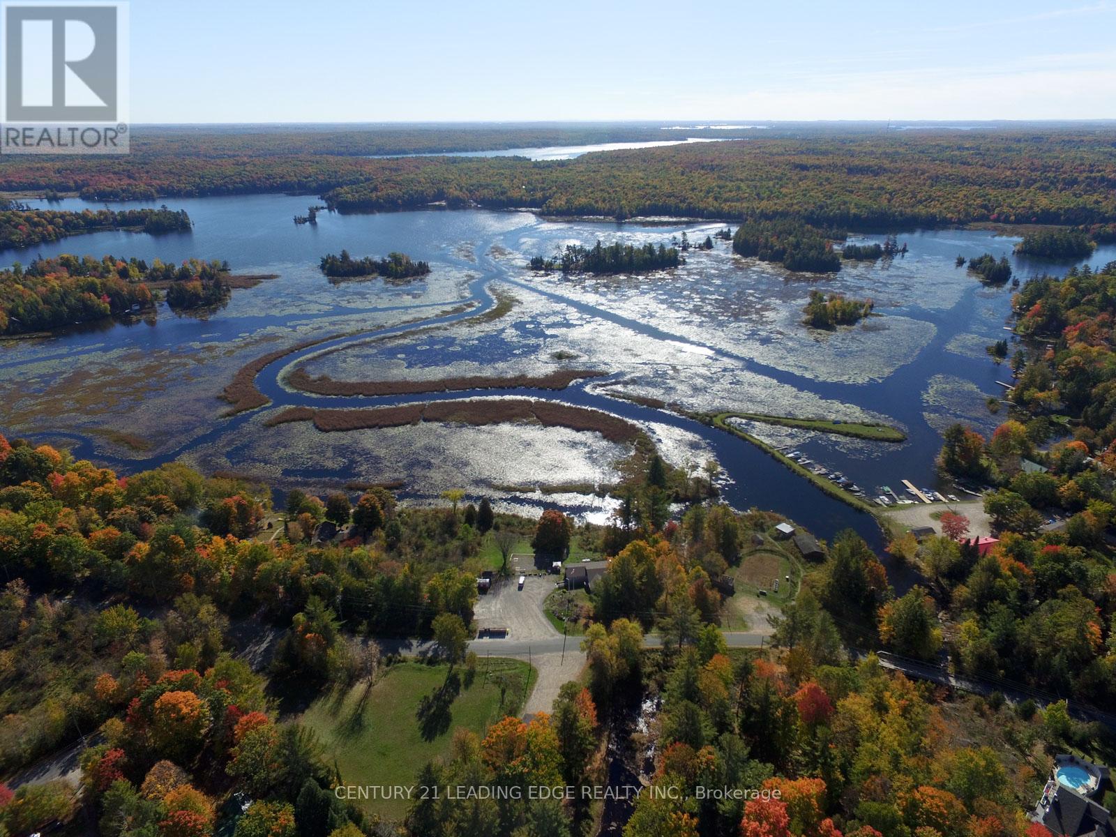 29 Edwina Drive, Trent Lakes, Ontario  K0M 1A0 - Photo 42 - X12894518