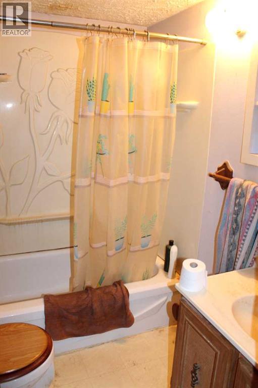 304 8 Avenue SE, Manning, Alberta  T0H 2M0 - Photo 3 - A2284165