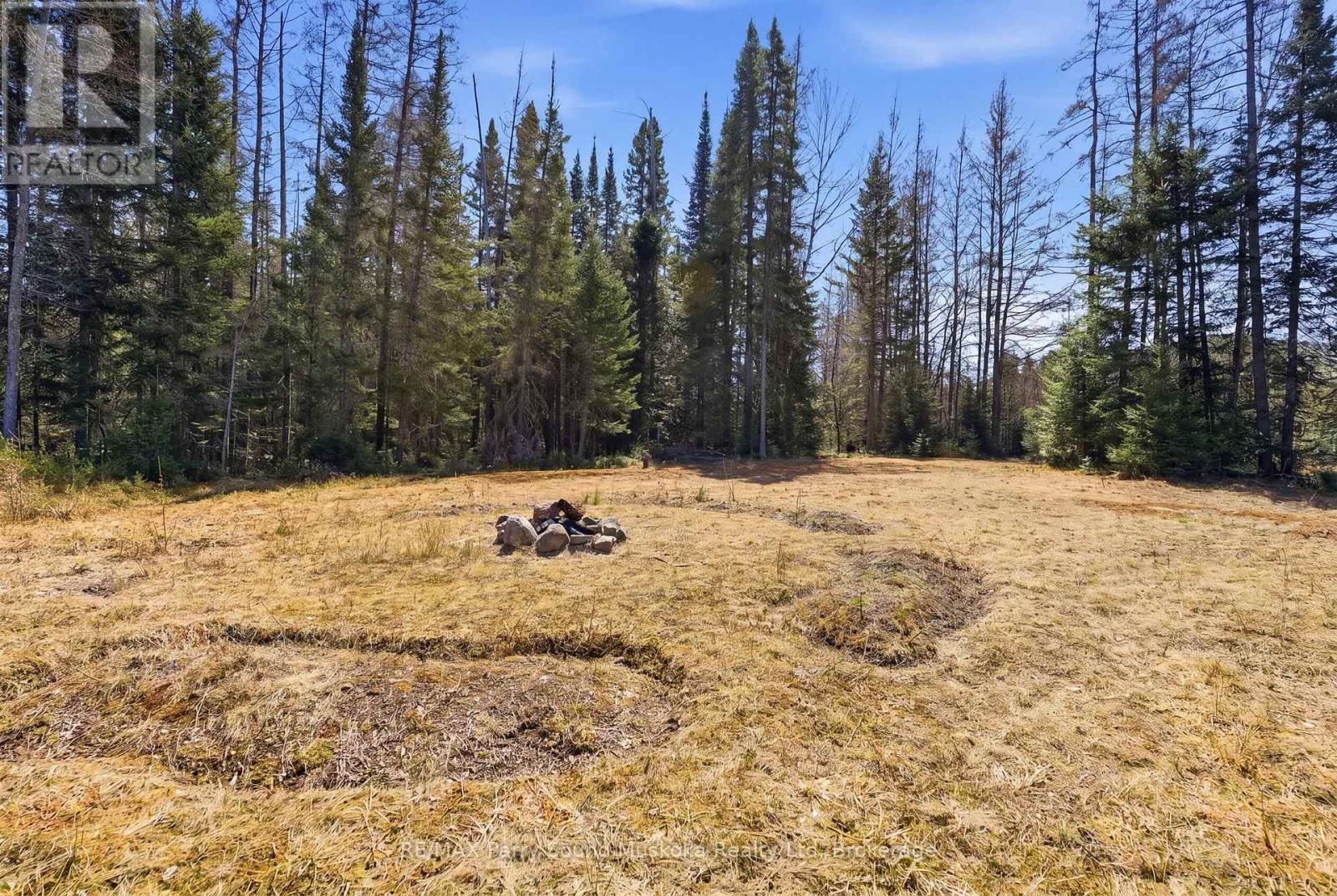 737 Starratt Road, Ryerson, Ontario  P0A 1C0 - Photo 10 - X13063662