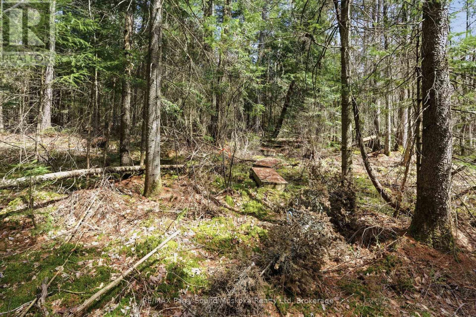 737 Starratt Road, Ryerson, Ontario  P0A 1C0 - Photo 11 - X13063662