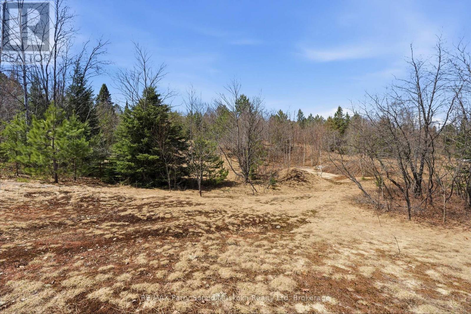 737 Starratt Road, Ryerson, Ontario  P0A 1C0 - Photo 13 - X13063662