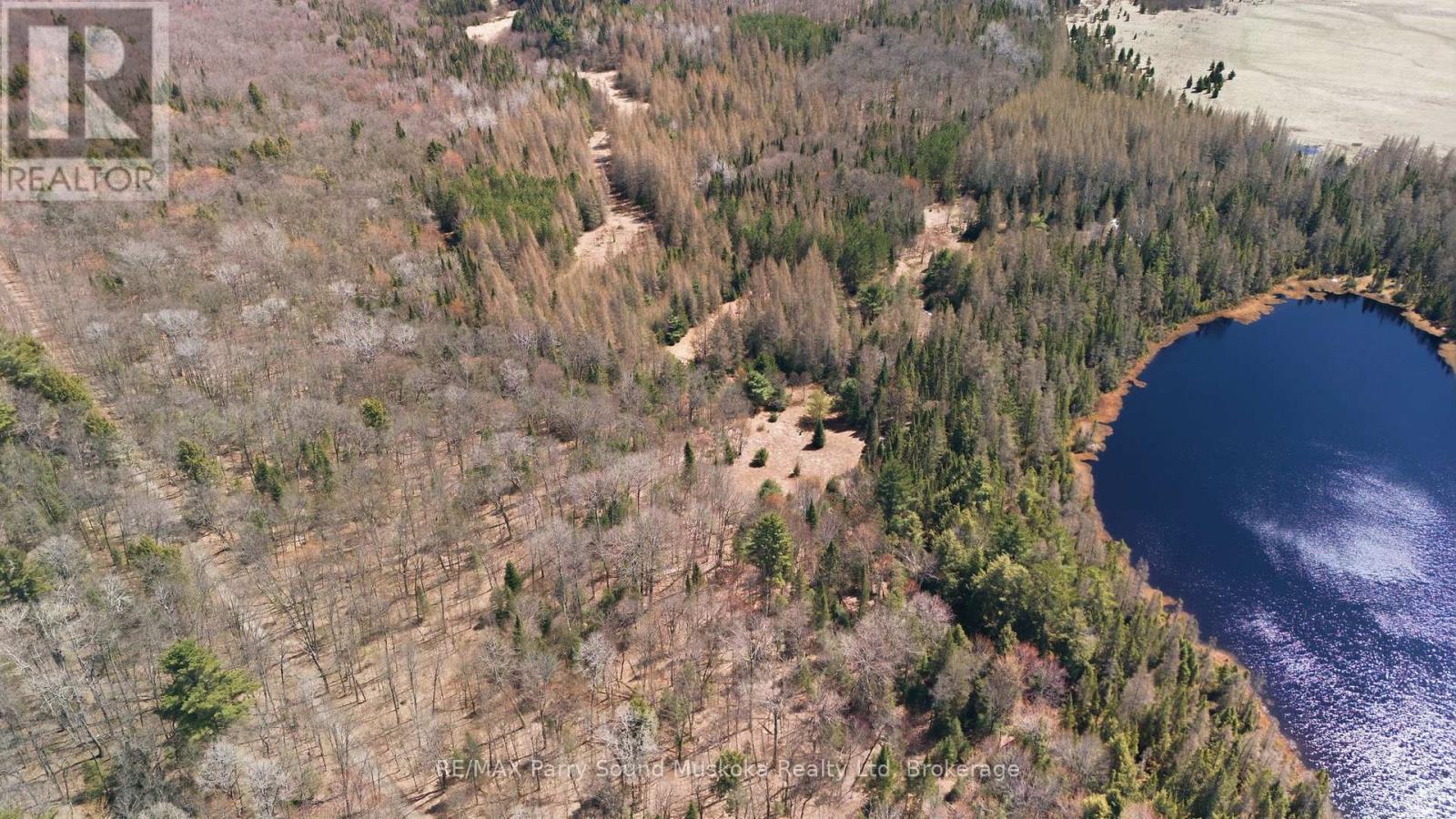 737 Starratt Road, Ryerson, Ontario  P0A 1C0 - Photo 23 - X13063662