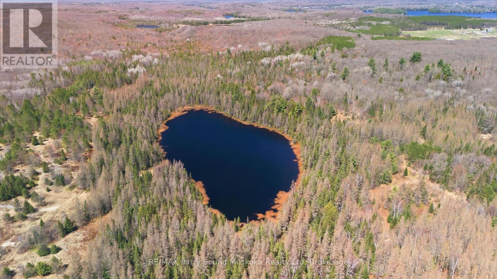 737 Starratt Road, Ryerson, Ontario  P0A 1C0 - Photo 24 - X13063662