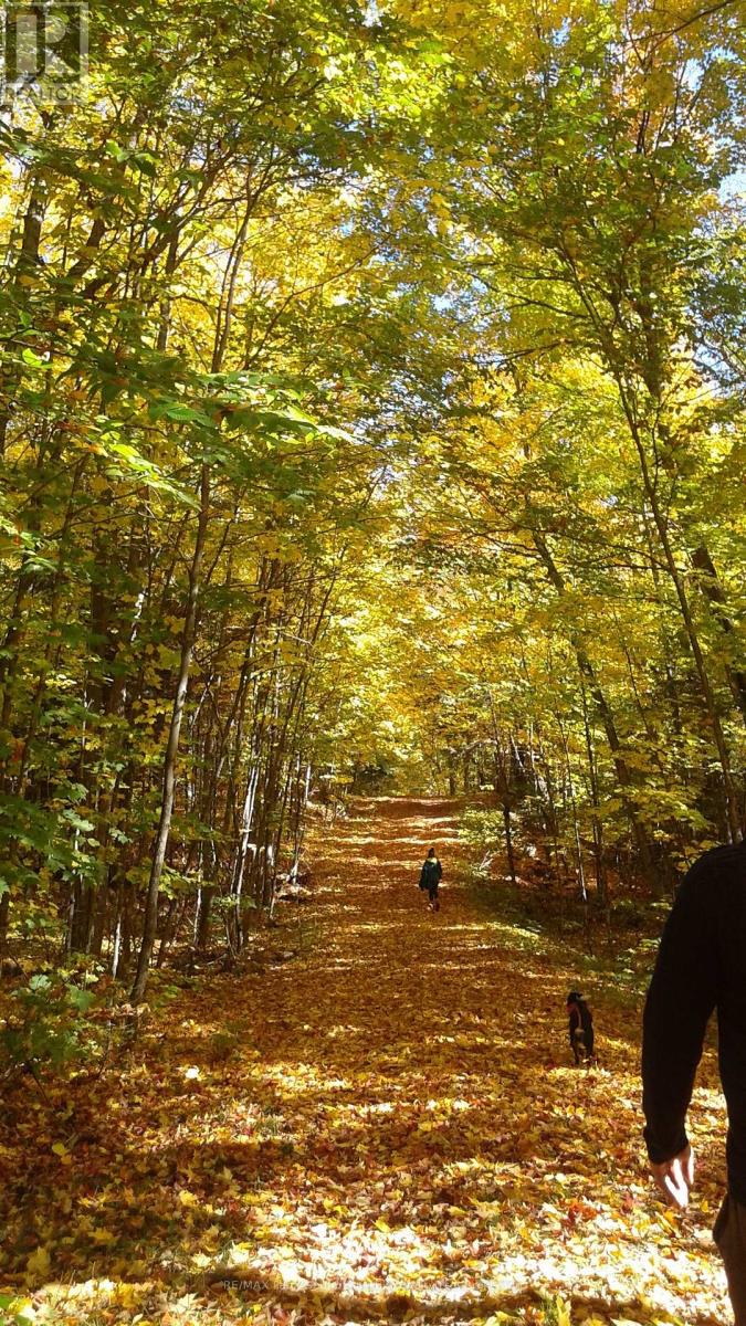 737 Starratt Road, Ryerson, Ontario  P0A 1C0 - Photo 29 - X13063662