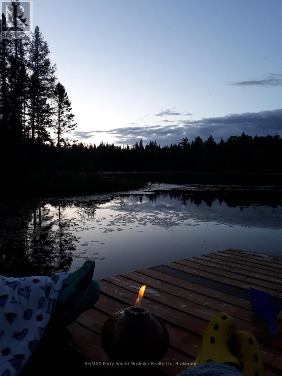 737 Starratt Road, Ryerson, Ontario  P0A 1C0 - Photo 32 - X13063662