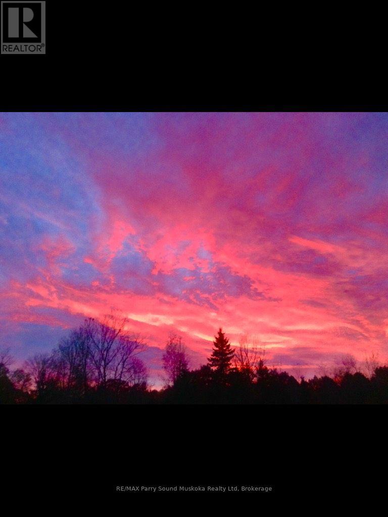 737 Starratt Road, Ryerson, Ontario  P0A 1C0 - Photo 34 - X13063662