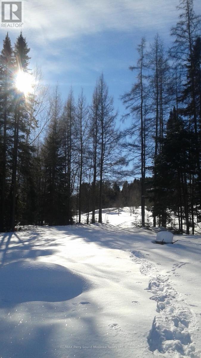 737 Starratt Road, Ryerson, Ontario  P0A 1C0 - Photo 35 - X13063662