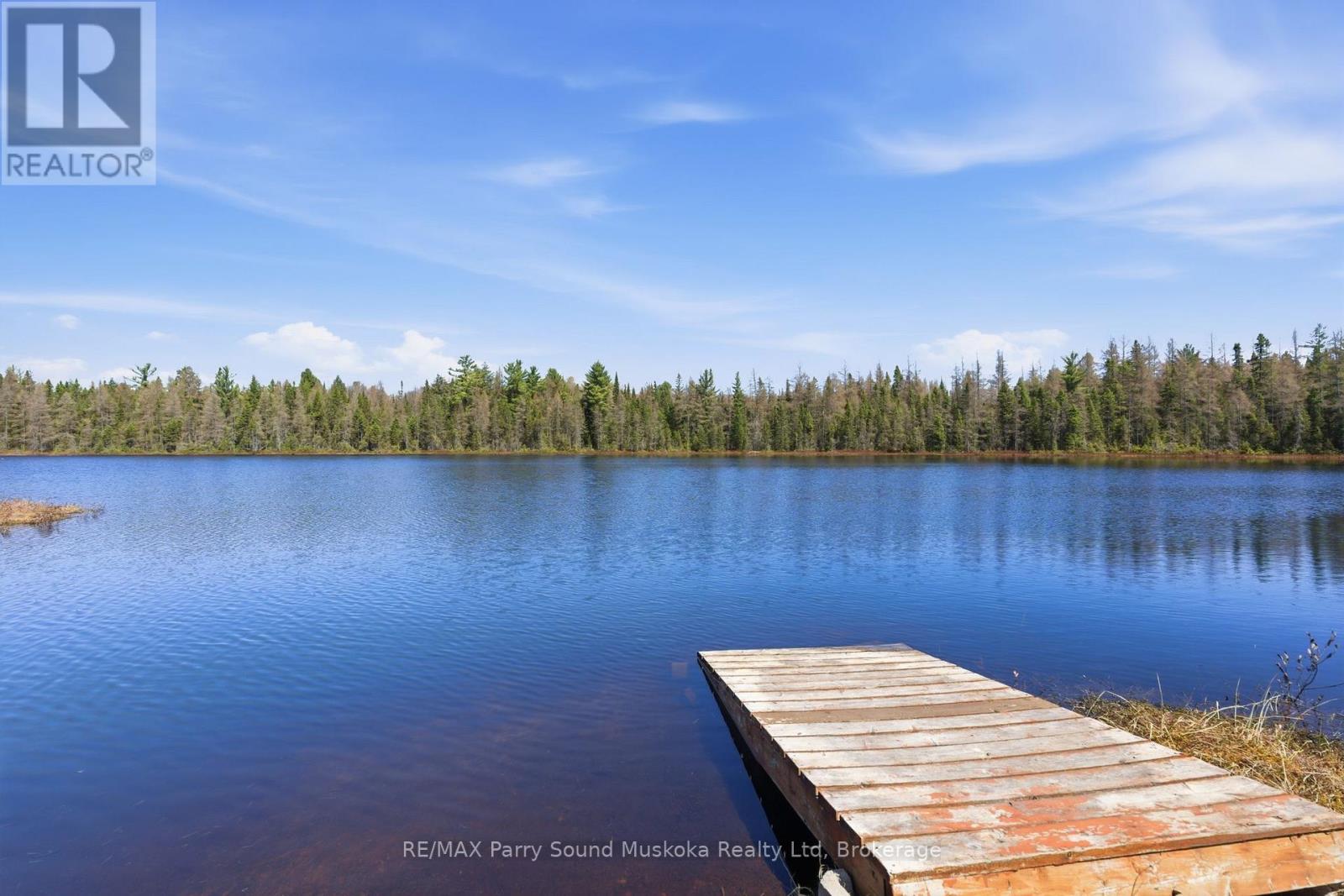 737 Starratt Road, Ryerson, Ontario  P0A 1C0 - Photo 4 - X13063662