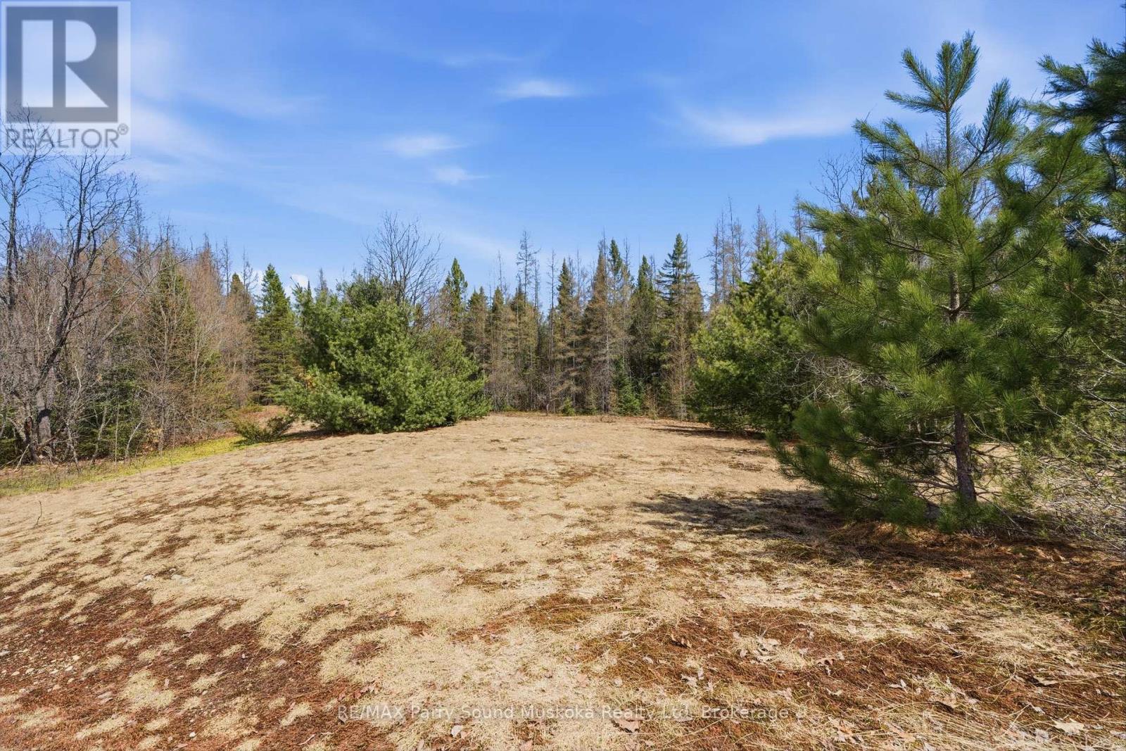 737 Starratt Road, Ryerson, Ontario  P0A 1C0 - Photo 8 - X13063662