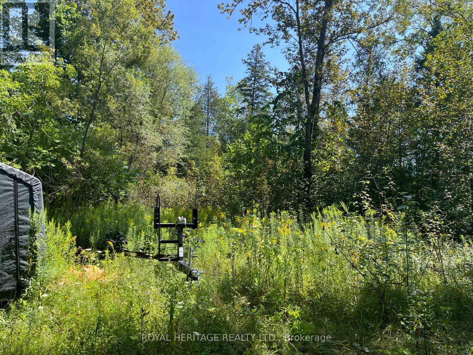 0 Sumcot Drive, Trent Lakes, Ontario  K9J 6X2 - Photo 4 - X12605618