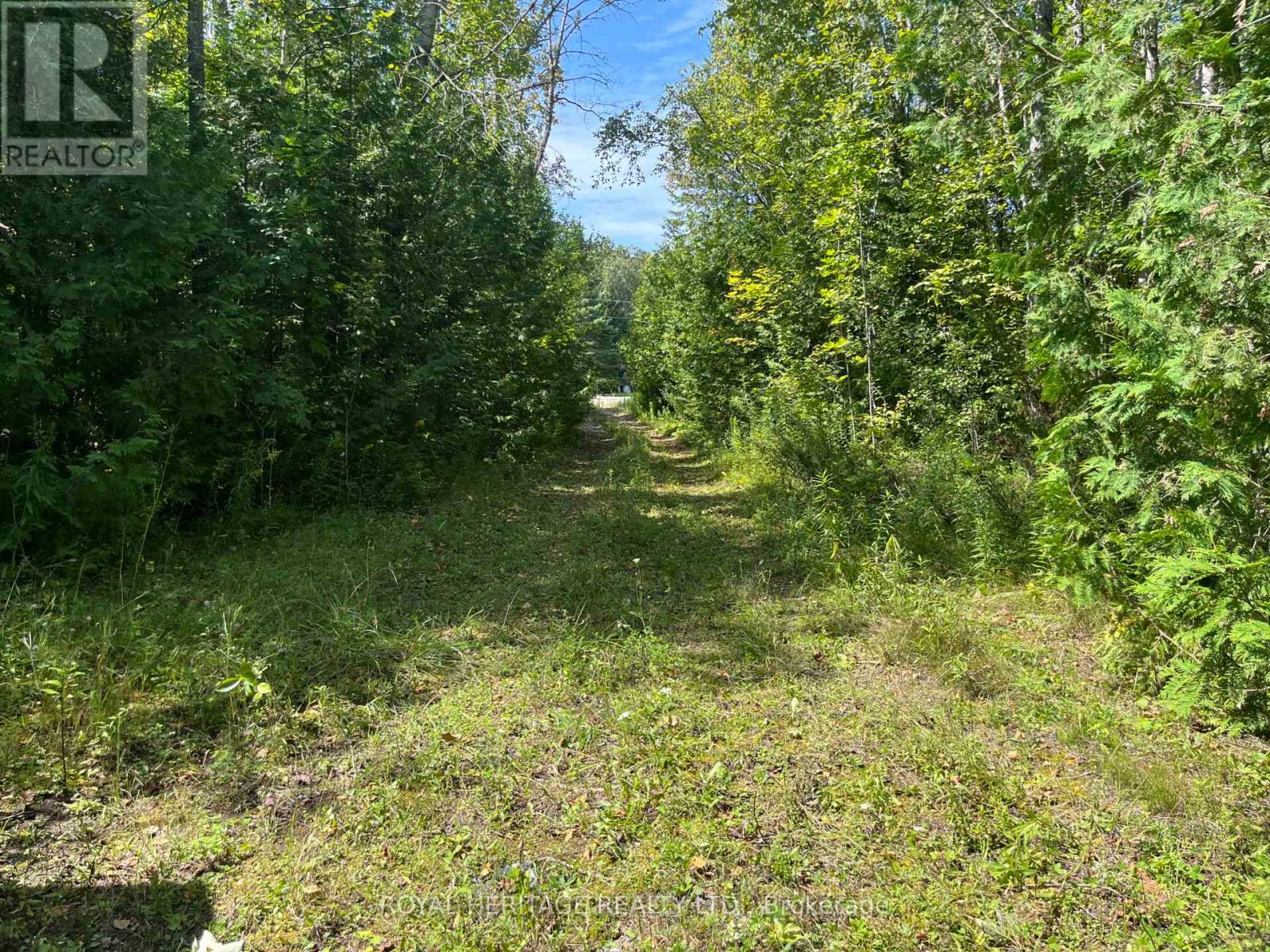 0 Sumcot Drive, Trent Lakes, Ontario  K9J 6X2 - Photo 1 - X12605618
