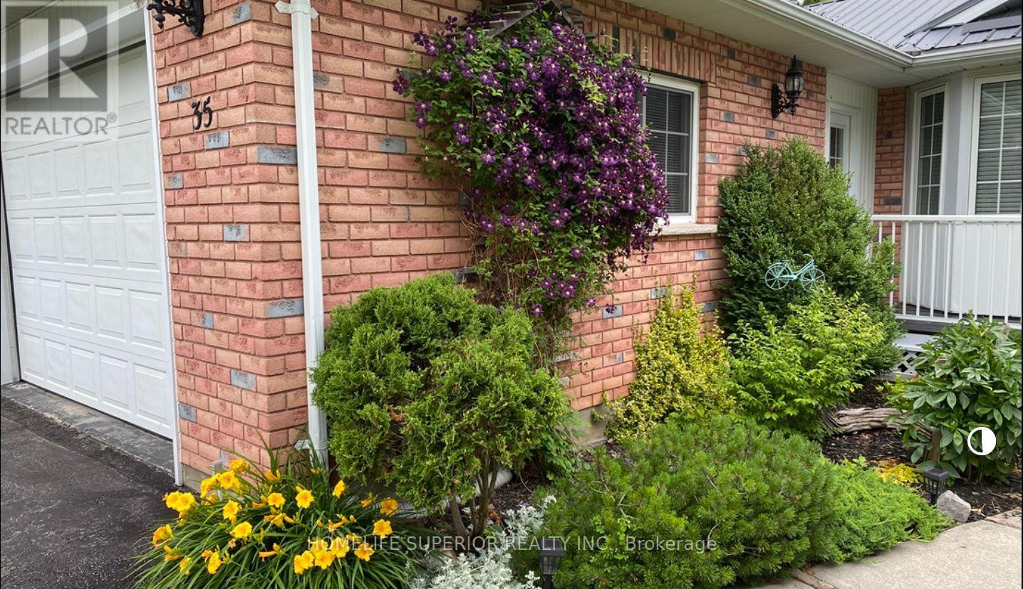 35 Nelson Street, Centre Hastings, Ontario  K0K 2K0 - Photo 39 - X12875182