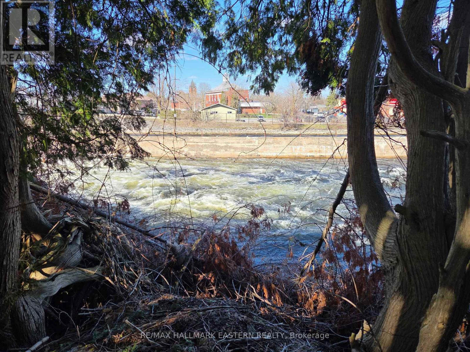 10 Hill Street, Selwyn, Ontario  K0L 2H0 - Photo 35 - X12795634