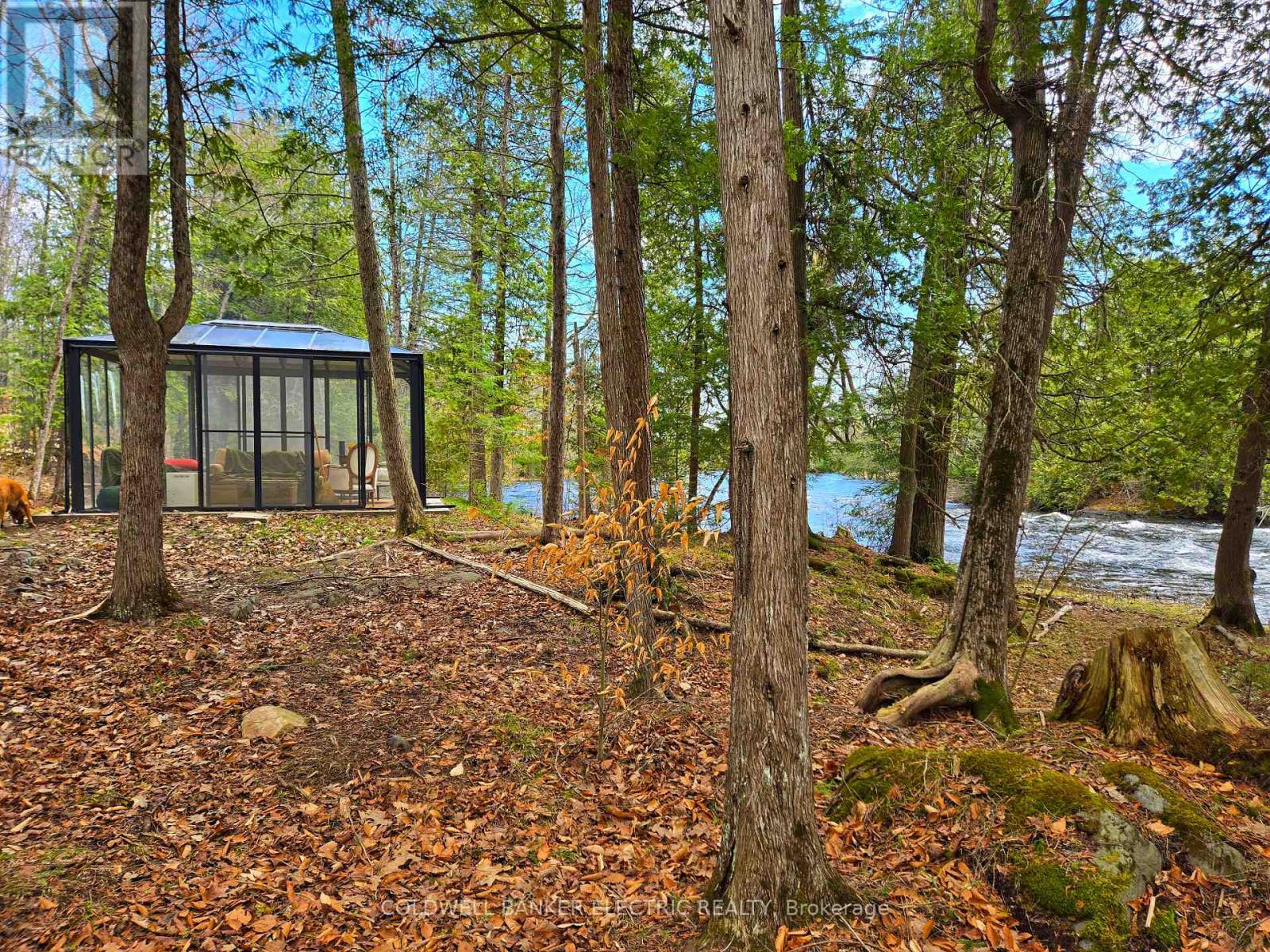 411 Fidlar Glen Road, Marmora And Lake, Ontario  K0K 2M0 - Photo 9 - X13026802