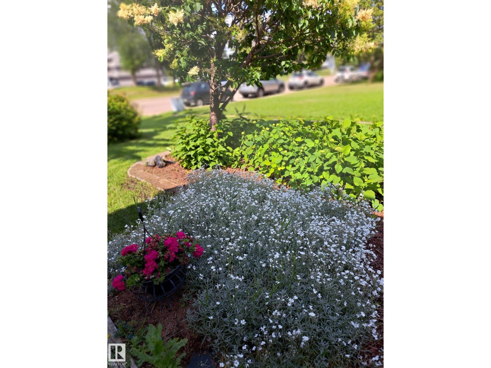 1619 Knottwood Rd N Nw, Edmonton, Alberta  T6K 2N3 - Photo 3 - E4484936