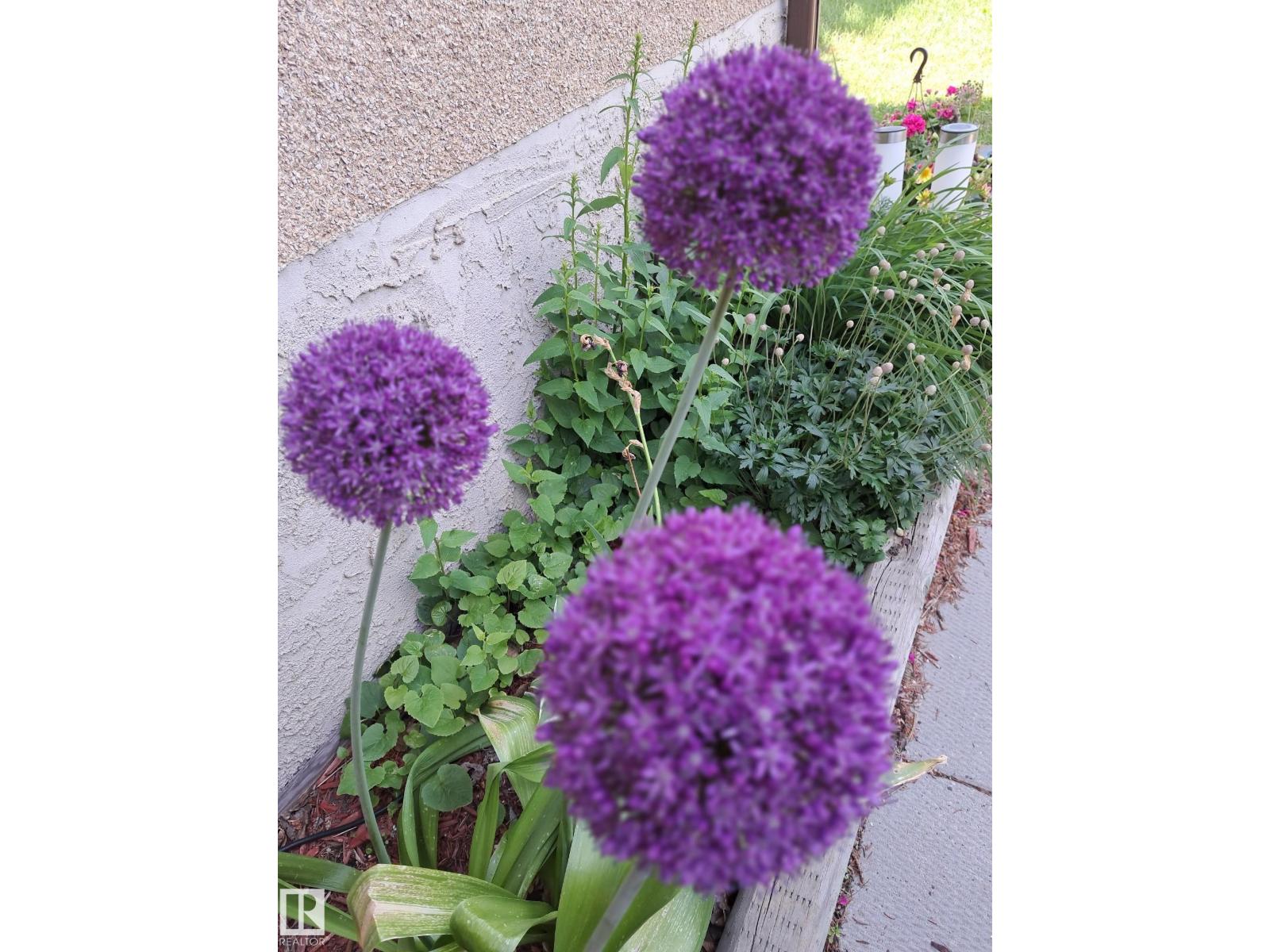 1619 Knottwood Rd N Nw, Edmonton, Alberta  T6K 2N3 - Photo 40 - E4484936