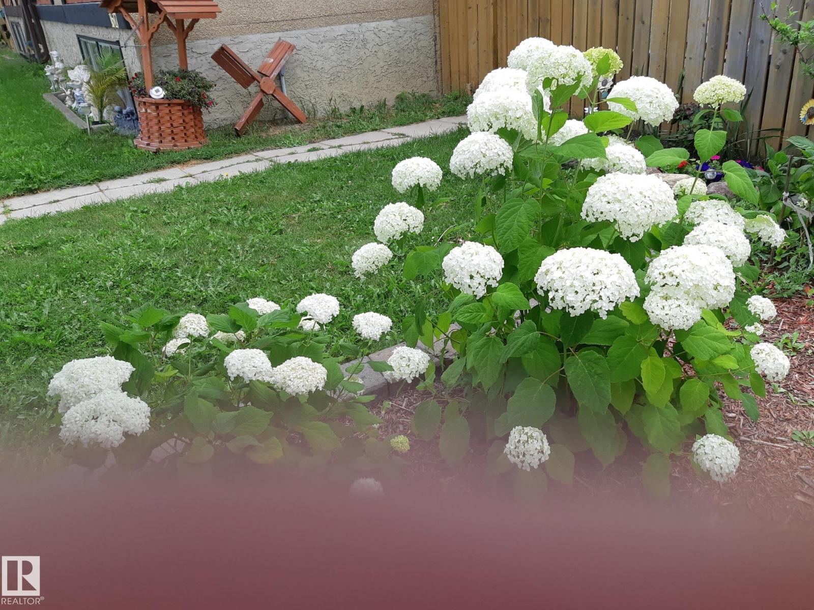 1619 Knottwood Rd N Nw, Edmonton, Alberta  T6K 2N3 - Photo 41 - E4484936