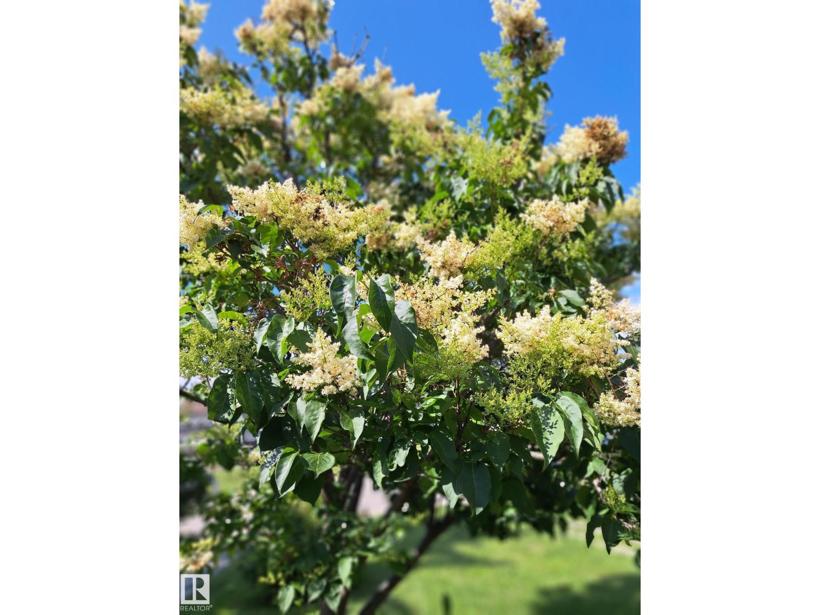 1619 Knottwood Rd N Nw, Edmonton, Alberta  T6K 2N3 - Photo 46 - E4484936