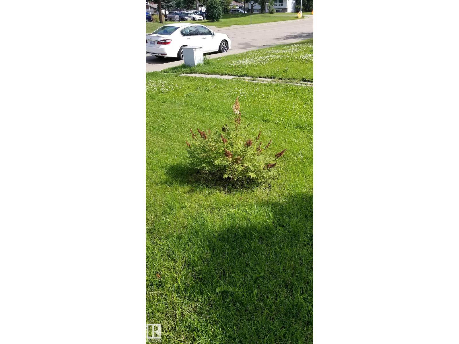 1619 Knottwood Rd N Nw, Edmonton, Alberta  T6K 2N3 - Photo 48 - E4484936