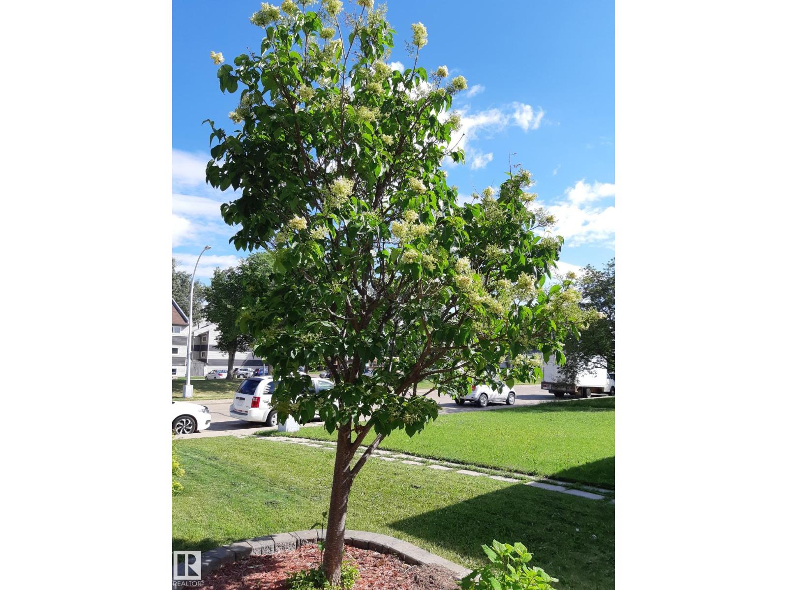 1619 Knottwood Rd N Nw, Edmonton, Alberta  T6K 2N3 - Photo 49 - E4484936