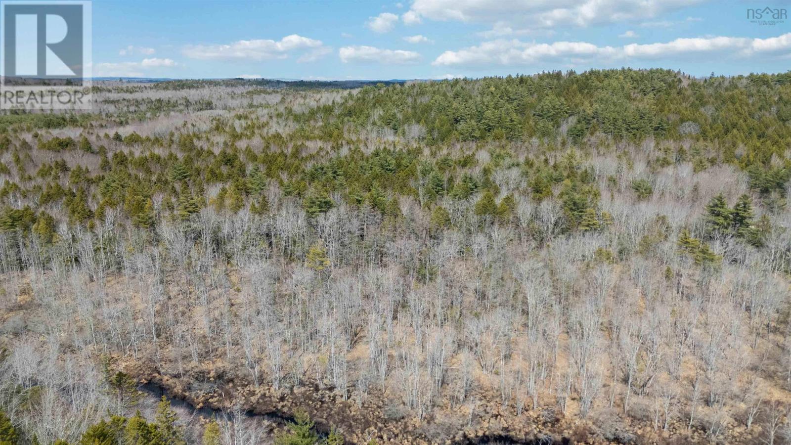 Lot 73 Hirtle Road, Maitland, Nova Scotia  B0J 1E0 - Photo 2 - 202609162