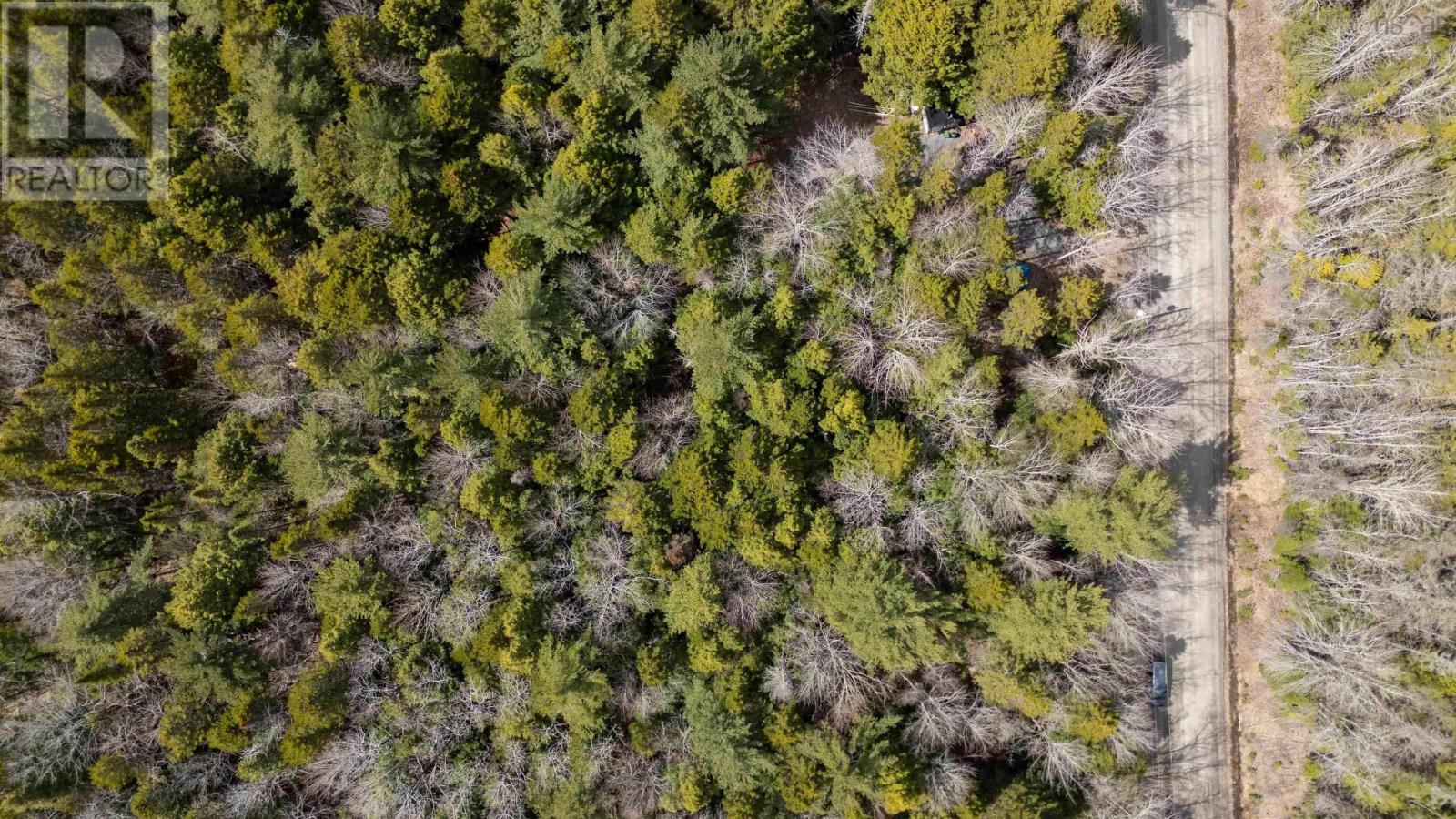 Lot 73 Hirtle Road, Maitland, Nova Scotia  B0J 1E0 - Photo 4 - 202609162