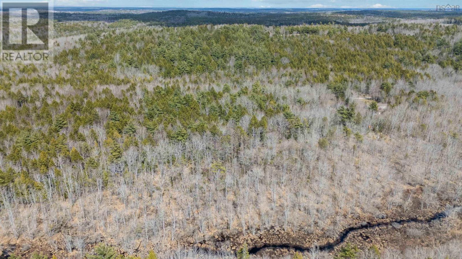 Lot 73 Hirtle Road, Maitland, Nova Scotia  B0J 1E0 - Photo 7 - 202609162