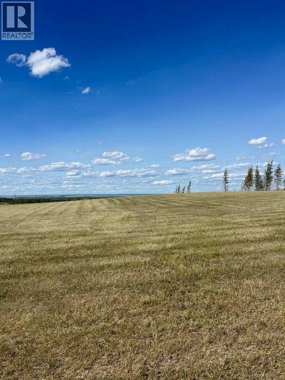 47 713019 Range Road 71, Rural Grande Prairie No. 1, Alberta  T8W 5E9 - Photo 8 - A2285435